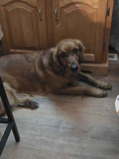 man wearing white V-neck shirt