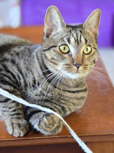 man wearing white V-neck shirt