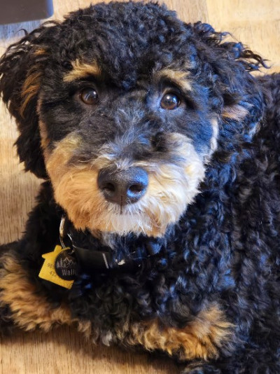 man wearing white V-neck shirt