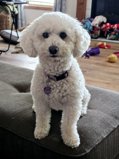 man wearing white V-neck shirt