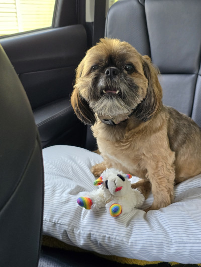 man wearing white V-neck shirt
