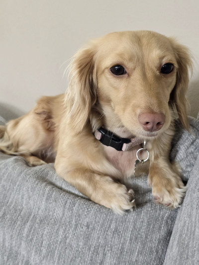 man wearing white V-neck shirt