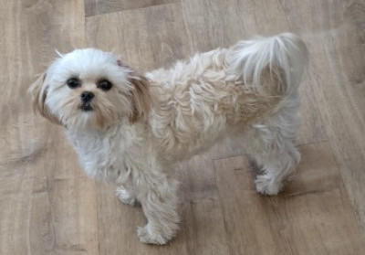man wearing white V-neck shirt