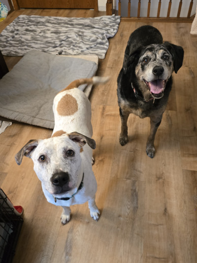 man wearing white V-neck shirt